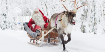 В мире сказок и чудес. Авиатур в Лапландию, Санта-Парк, арктический зоопарк Рануа (IL260)